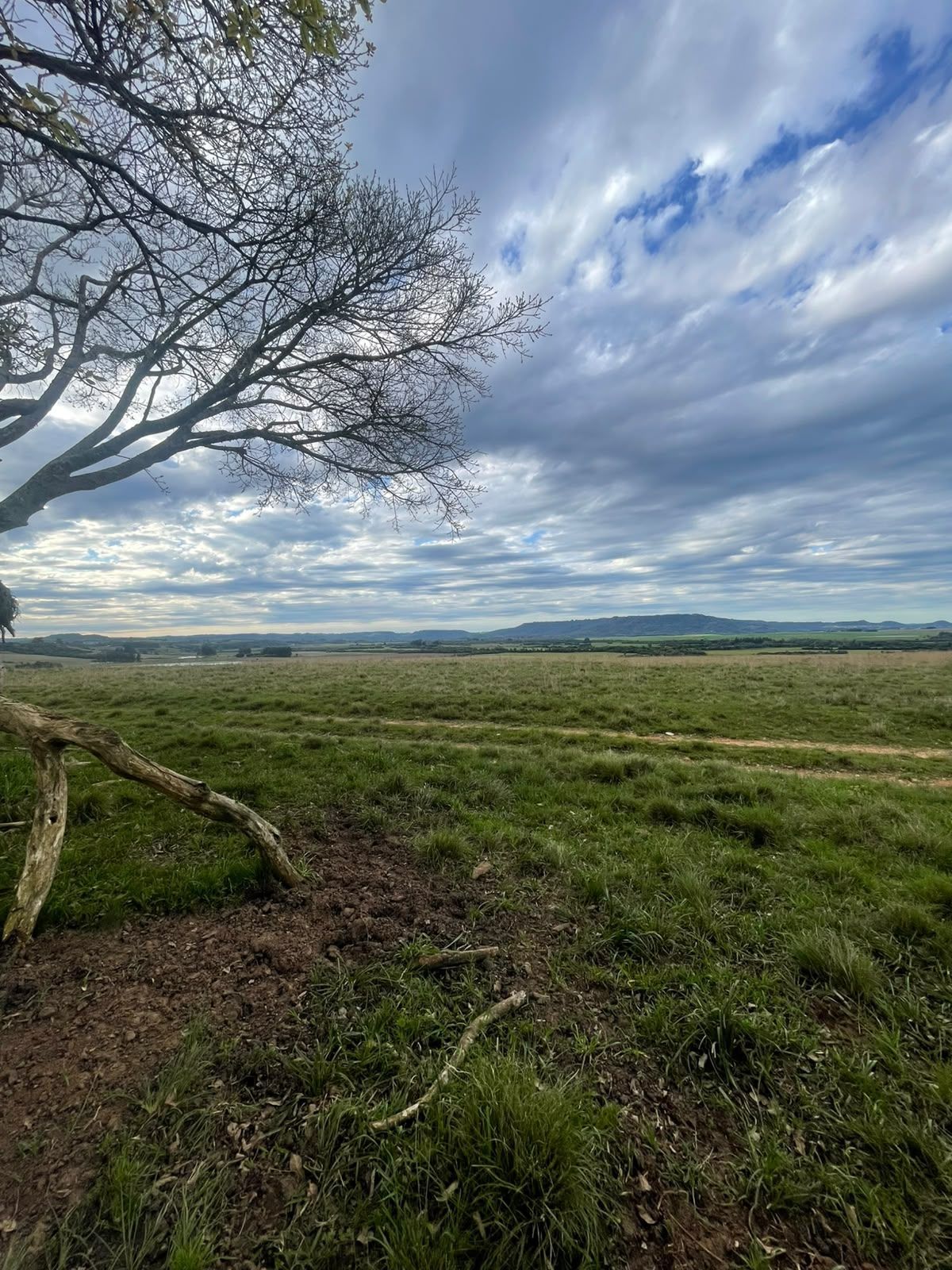 Campo à venda em Zona rural, Jaguari/RS — foto 11 de 23
