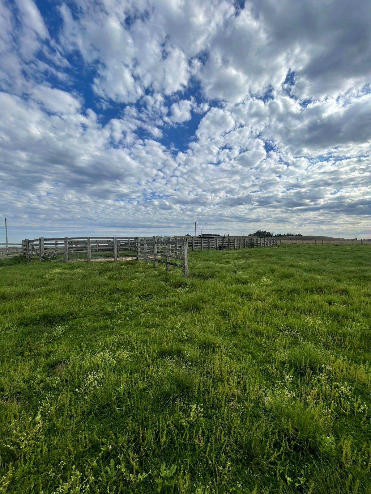 Campo à venda em Zona rural, Jaguari/RS — foto 17 de 23