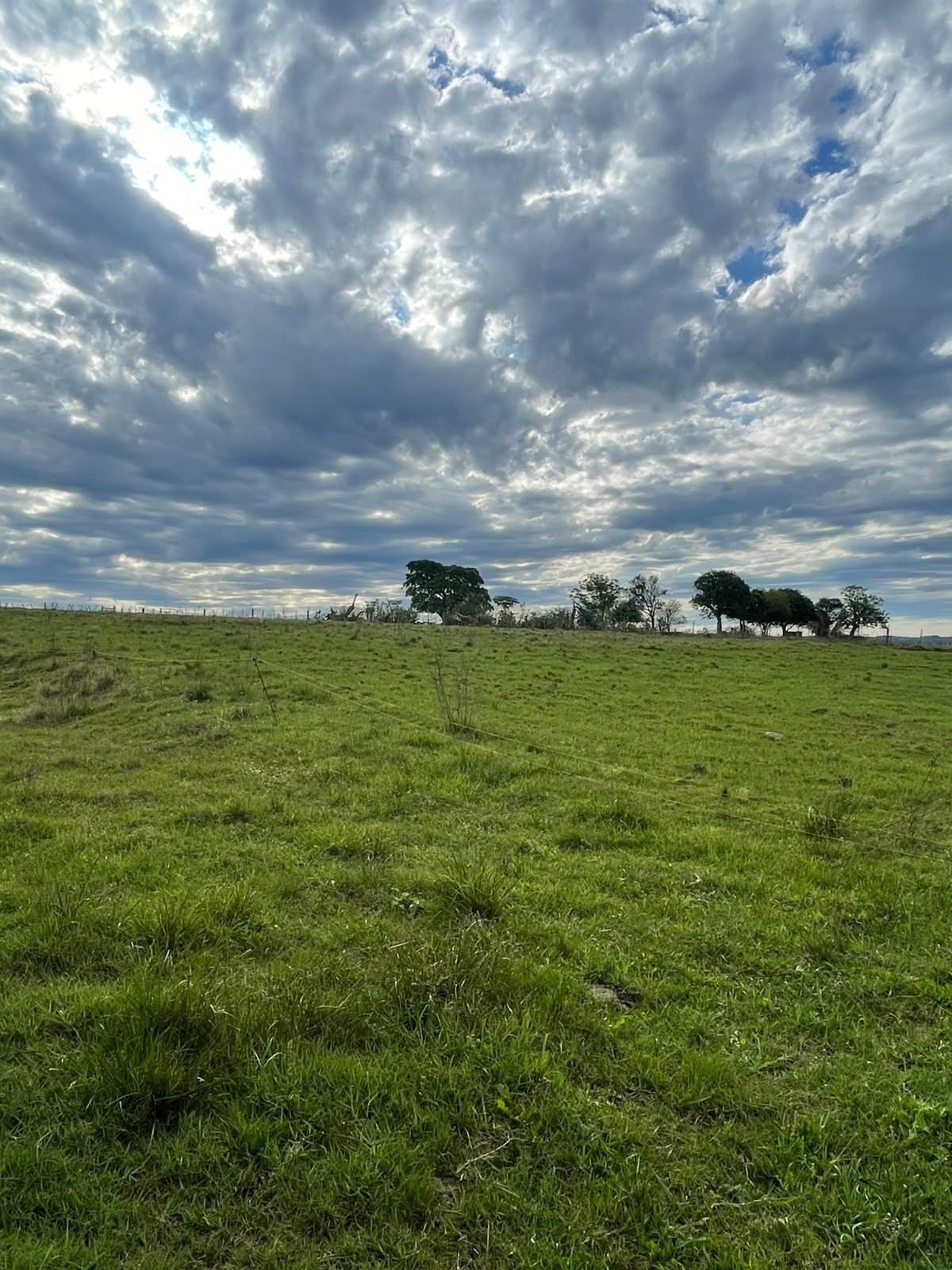 Campo à venda em Zona rural, Jaguari/RS — foto 21 de 23