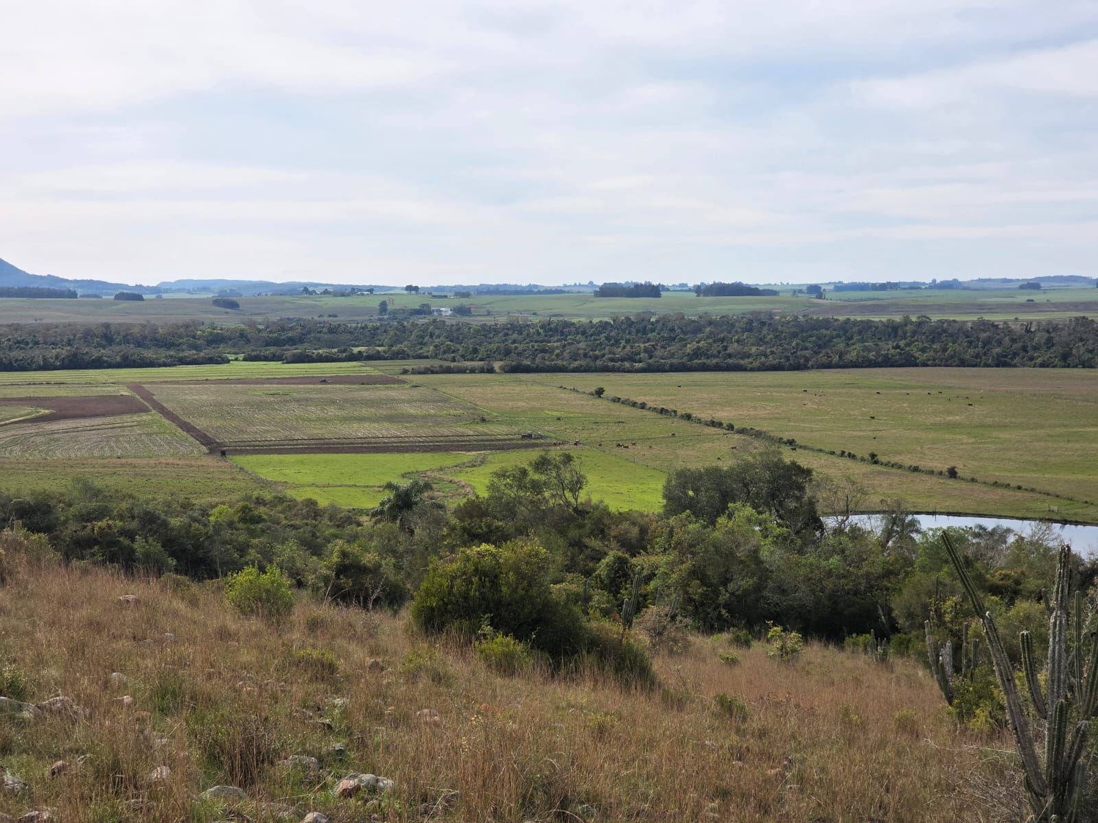 Campo à venda em Zona rural, Jaguari/RS — foto 22 de 23