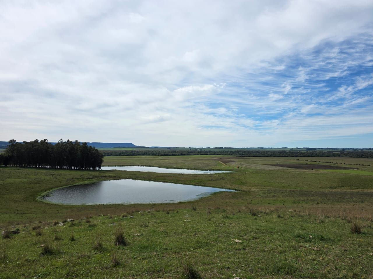 Campo à venda em Zona rural, Jaguari/RS — foto 23 de 23