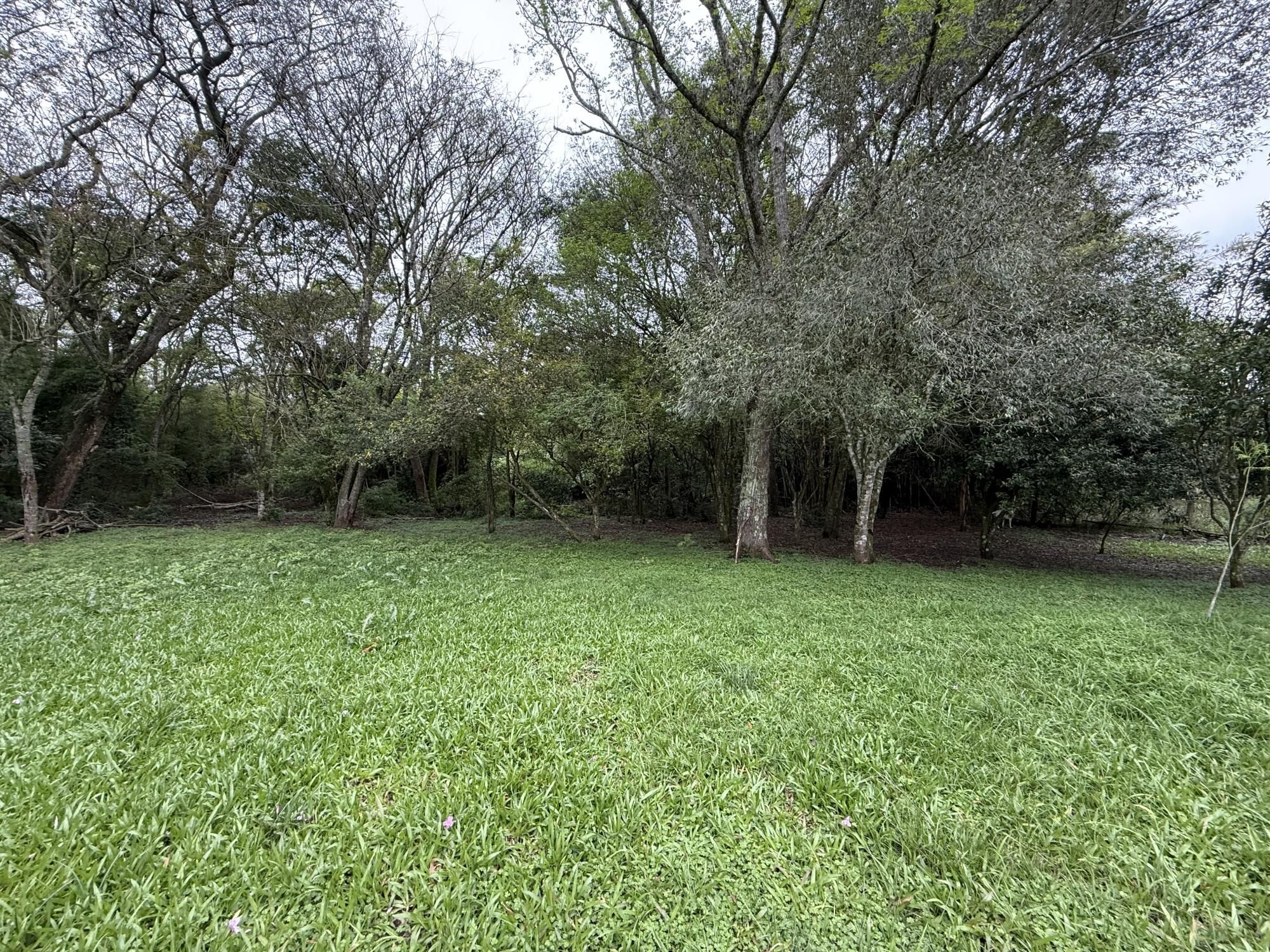 Terreno à venda em Pinheiro Machado, Santa Maria/RS — foto 5 de 8