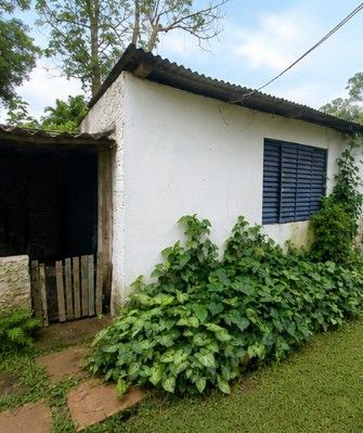 Chácara com 3 quartos à venda em Km 3, Santa Maria/RS — foto 11 de 12