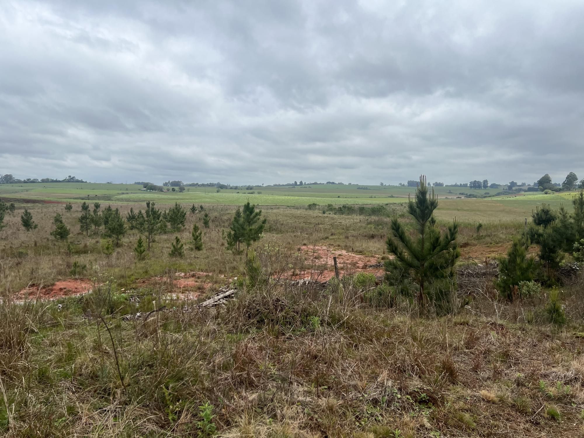 Terreno à venda em Boca do Monte, Santa Maria/RS — foto 8 de 18