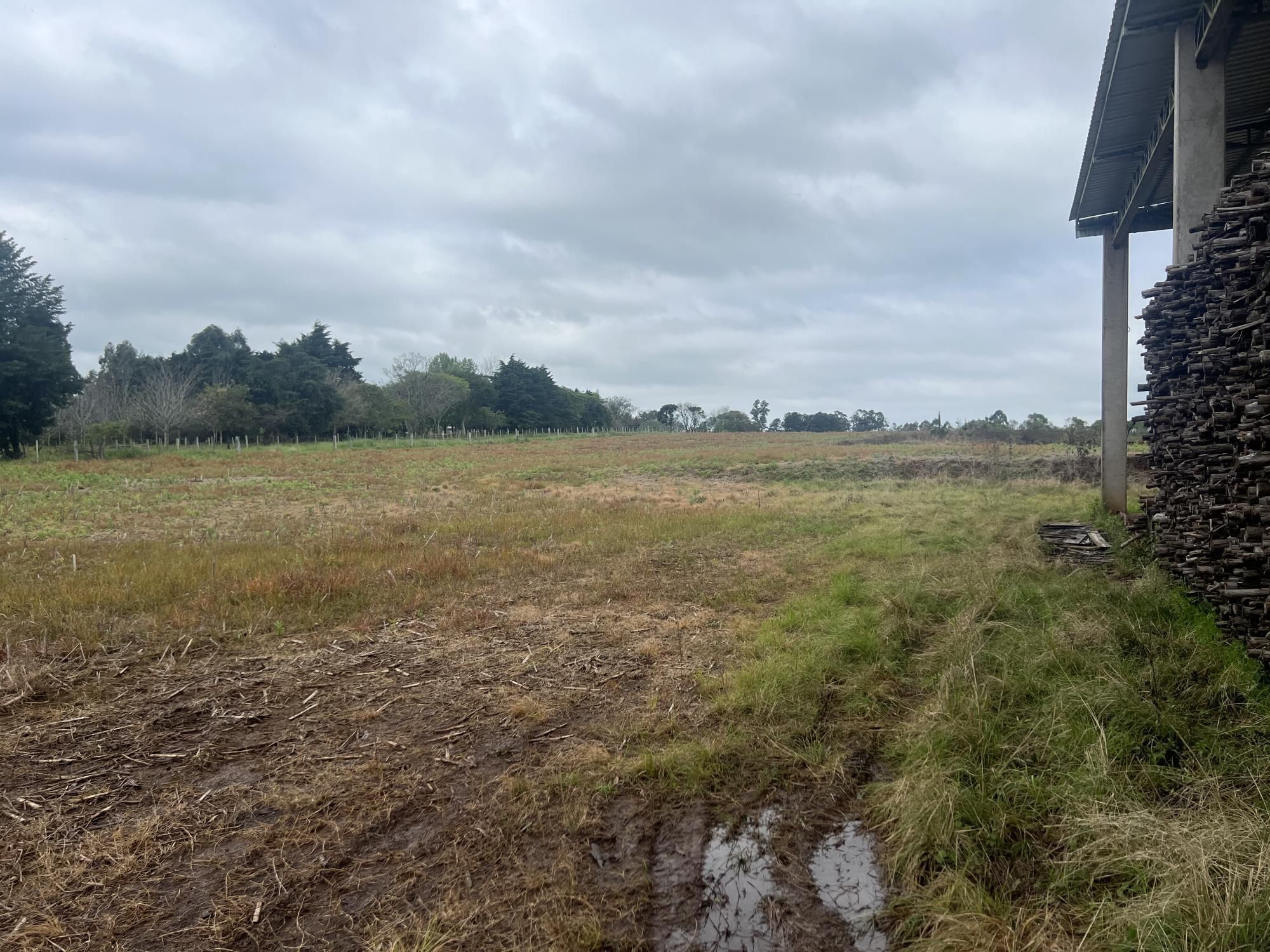 Terreno à venda em Boca do Monte, Santa Maria/RS — foto 10 de 18