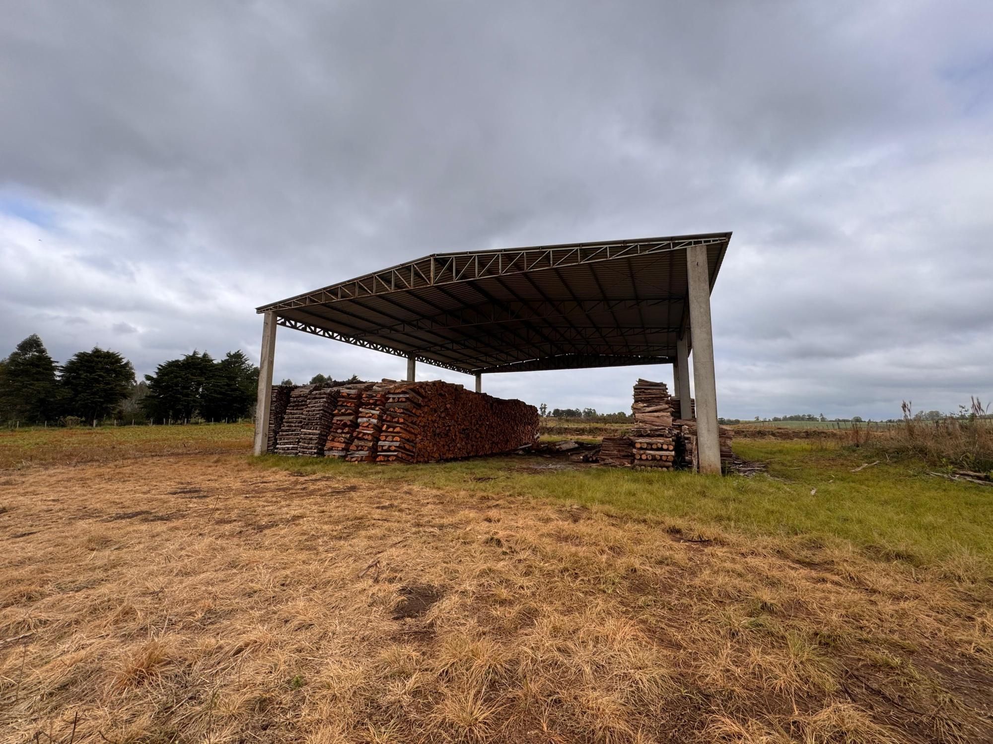 Terreno à venda em Boca do Monte, Santa Maria/RS — foto 16 de 18