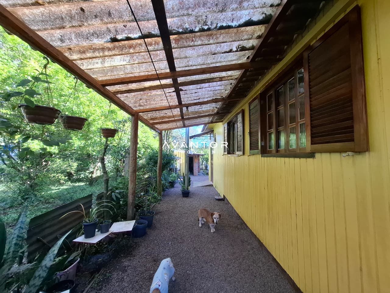 Casa com 2 quartos à venda em Parque Pinhal, Itaara/RS — foto 5 de 12
