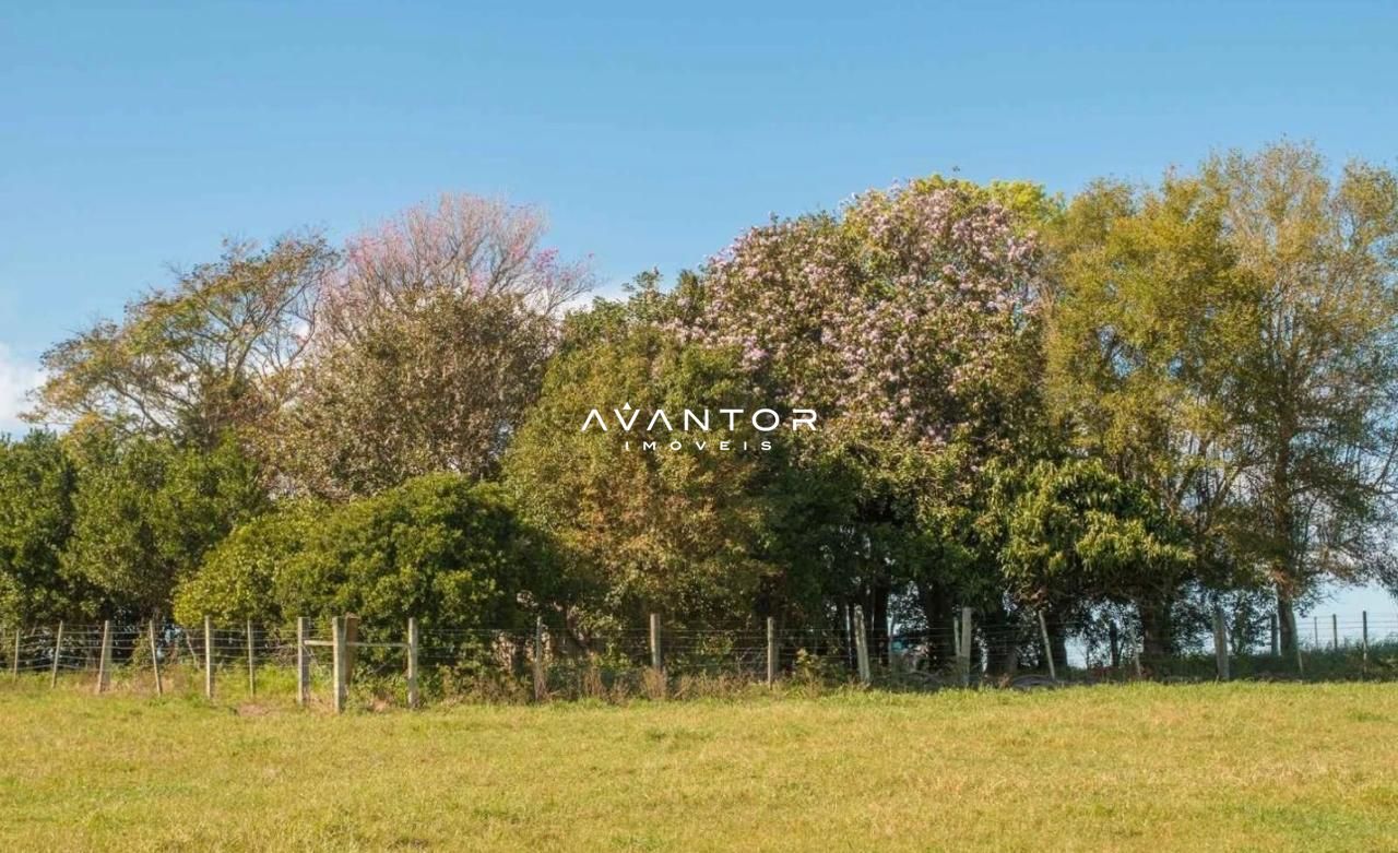 Campo à venda em Santa Flora, Santa Maria/RS — foto 2 de 4
