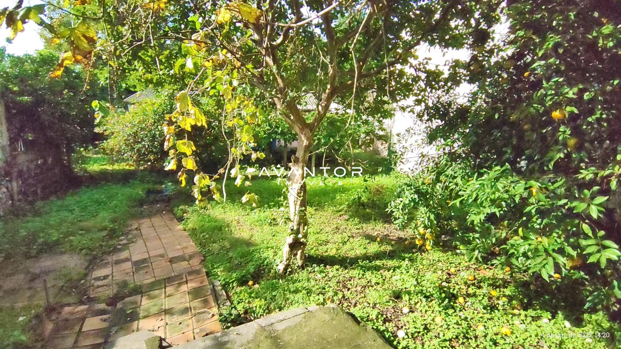 Casa com 3 quartos à venda em Nossa Senhora das Dores, Santa Maria/RS — foto 16 de 16