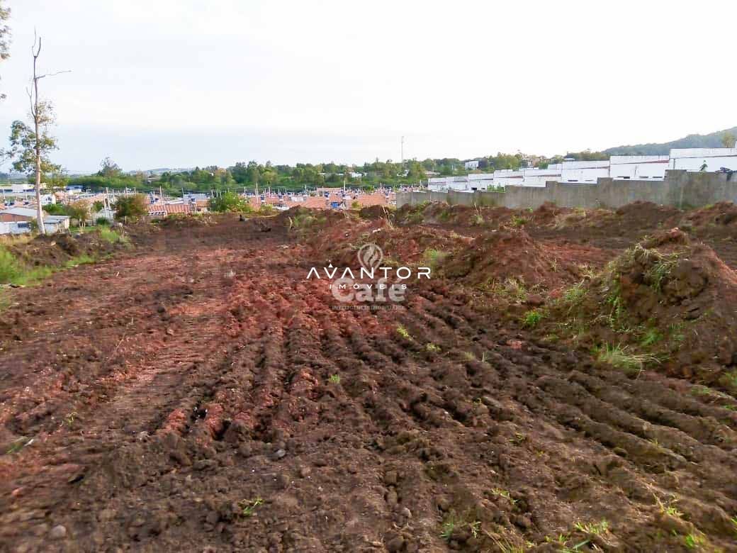 Terreno à venda em Diácono João Luiz Pozzobon, Santa Maria/RS — foto 3 de 4