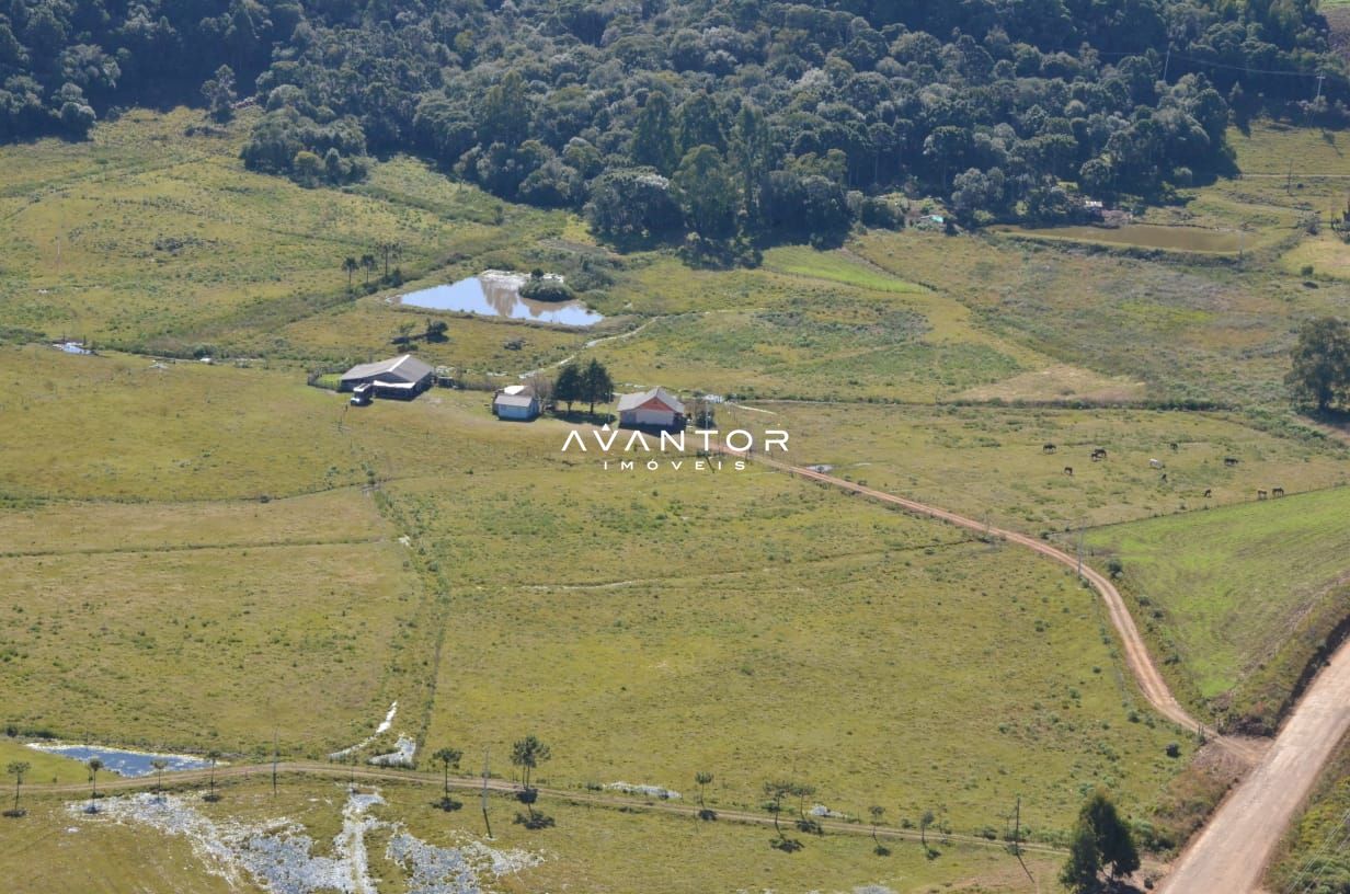 Fazenda com 3 quartos à venda em Britadeira, São Francisco de Paula/RS — foto 2 de 3