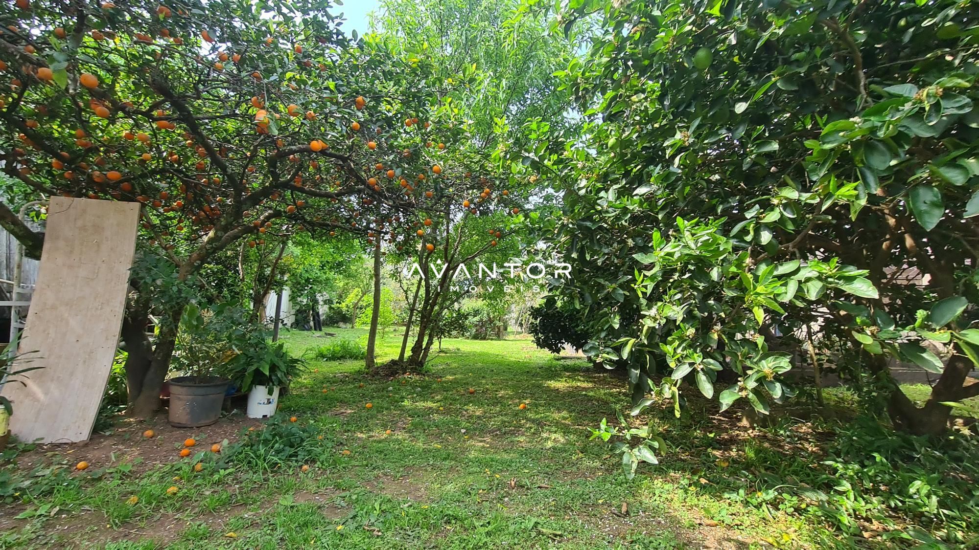 Terreno à venda em Camobi, Santa Maria/RS — foto 6 de 6
