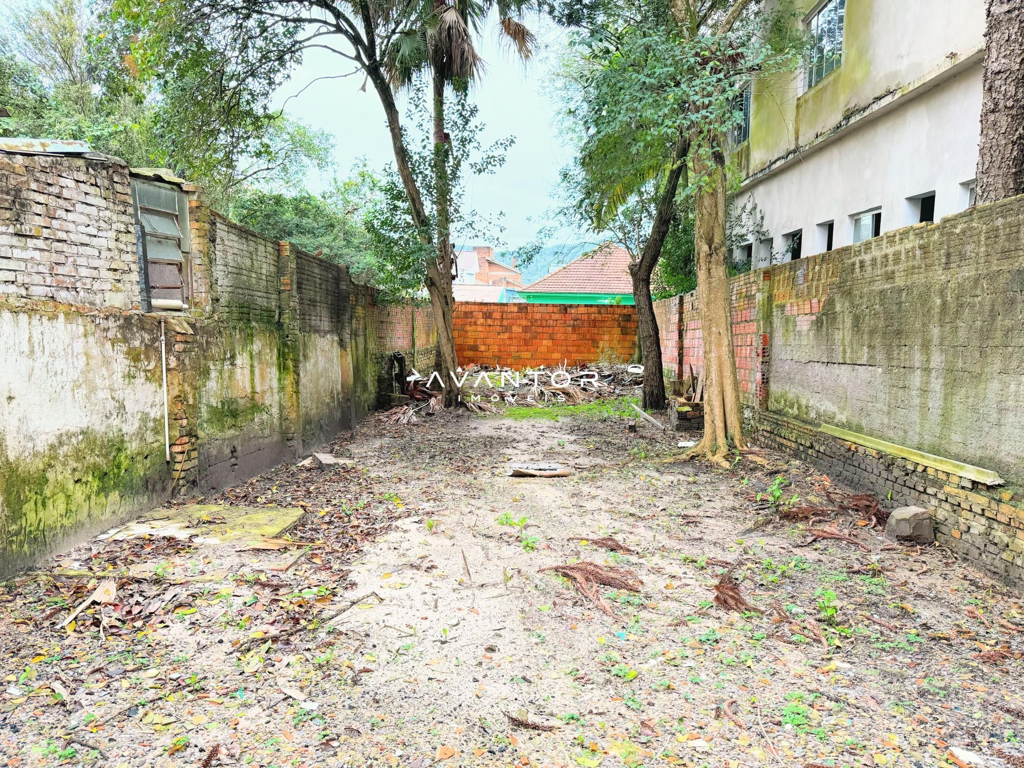 Casa com 3 quartos à venda em Centro, Santa Maria/RS — foto 20 de 20