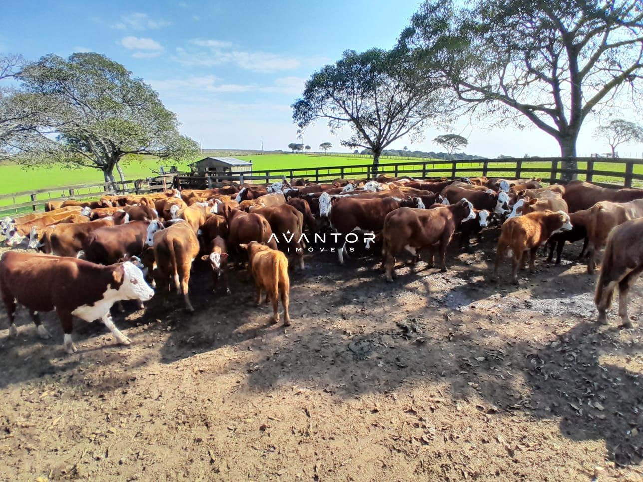 Fazenda com 3 quartos à venda em Rosa, São Sepé/RS — foto 4 de 14