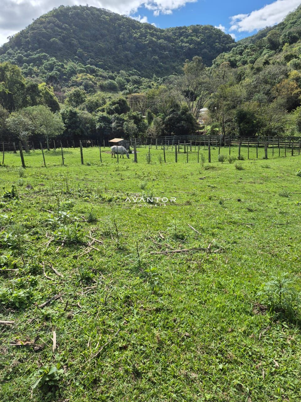 Campo à venda em Zona rural, São Martinho da Serra/RS — foto 3 de 10