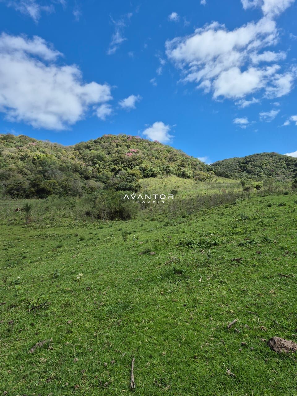 Campo à venda em Zona rural, São Martinho da Serra/RS — foto 6 de 10