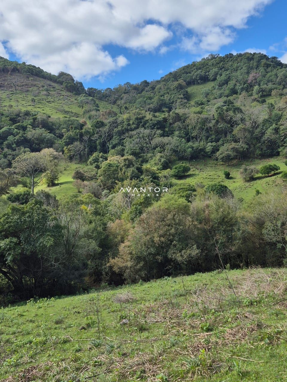Campo à venda em Zona rural, São Martinho da Serra/RS — foto 8 de 10