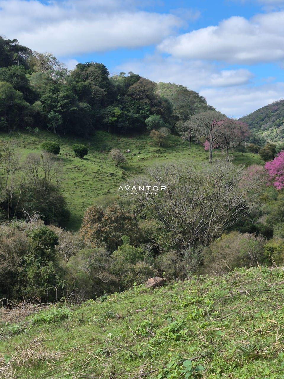 Campo à venda em Zona rural, São Martinho da Serra/RS — foto 10 de 10