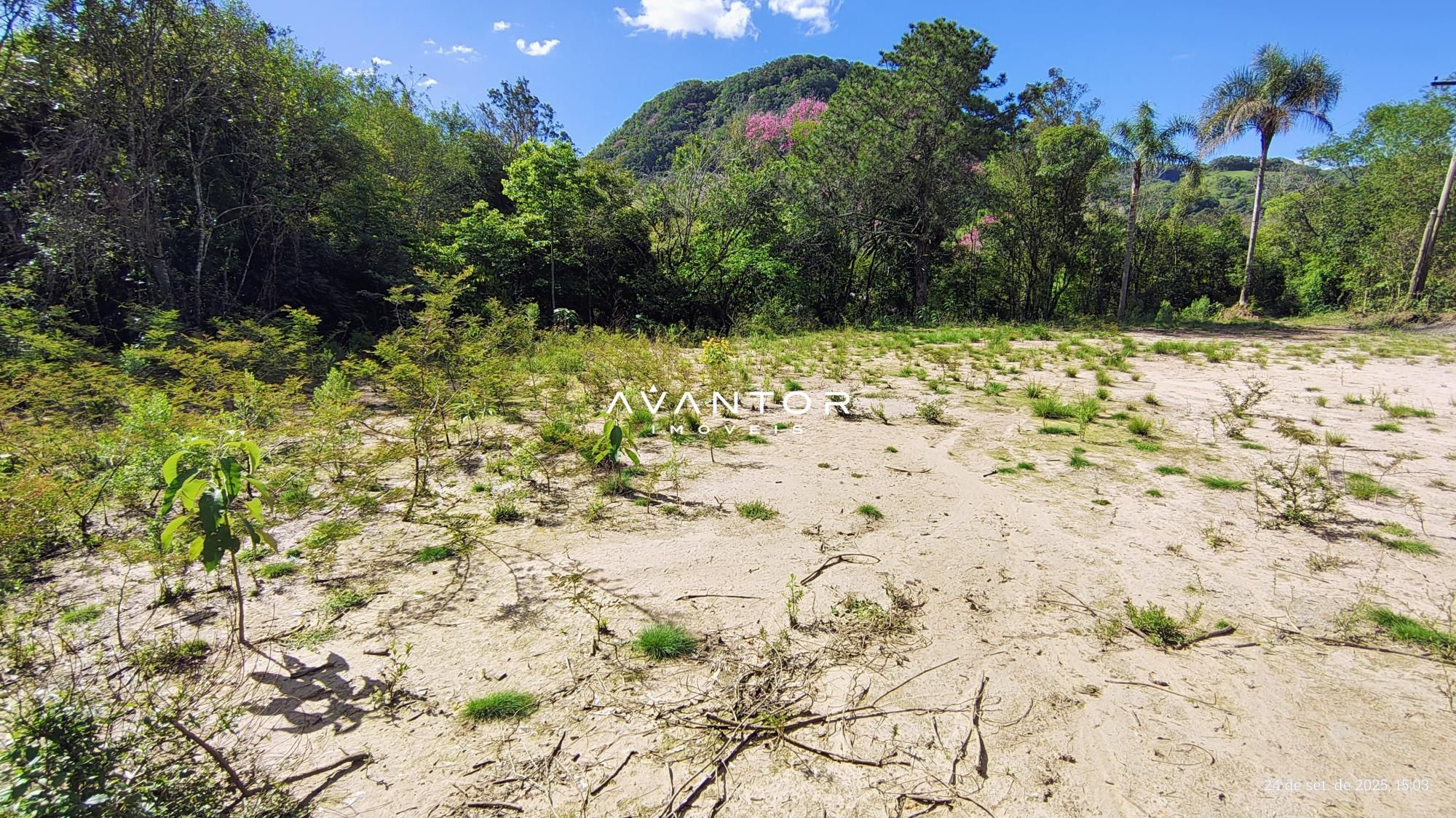 Terreno à venda em Campestre do Menino Deus, Santa Maria/RS — foto 4 de 4