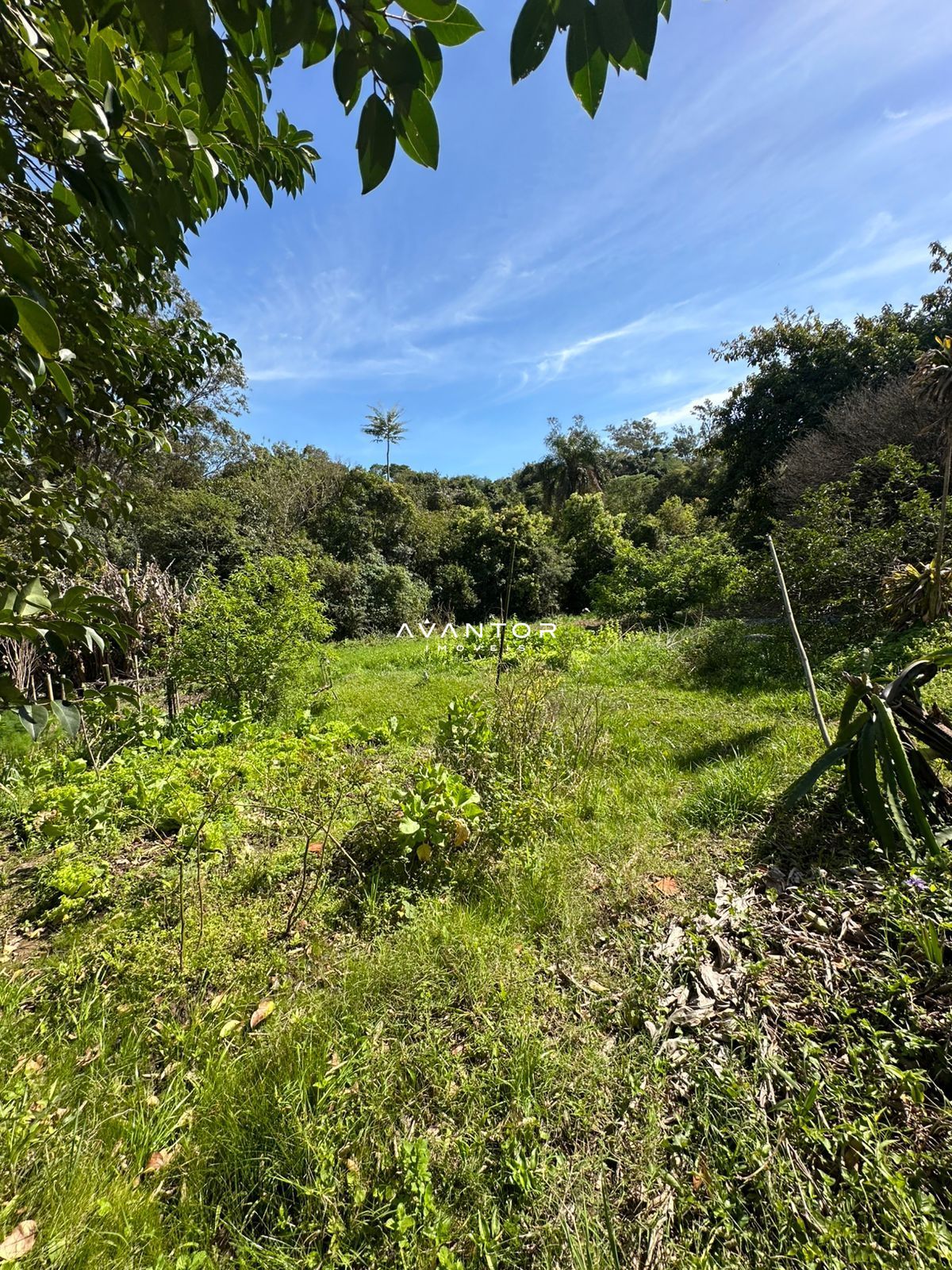 Chácara à venda em Nossa Senhora do Perpétuo Socorro, Santa Maria/RS — foto 12 de 16