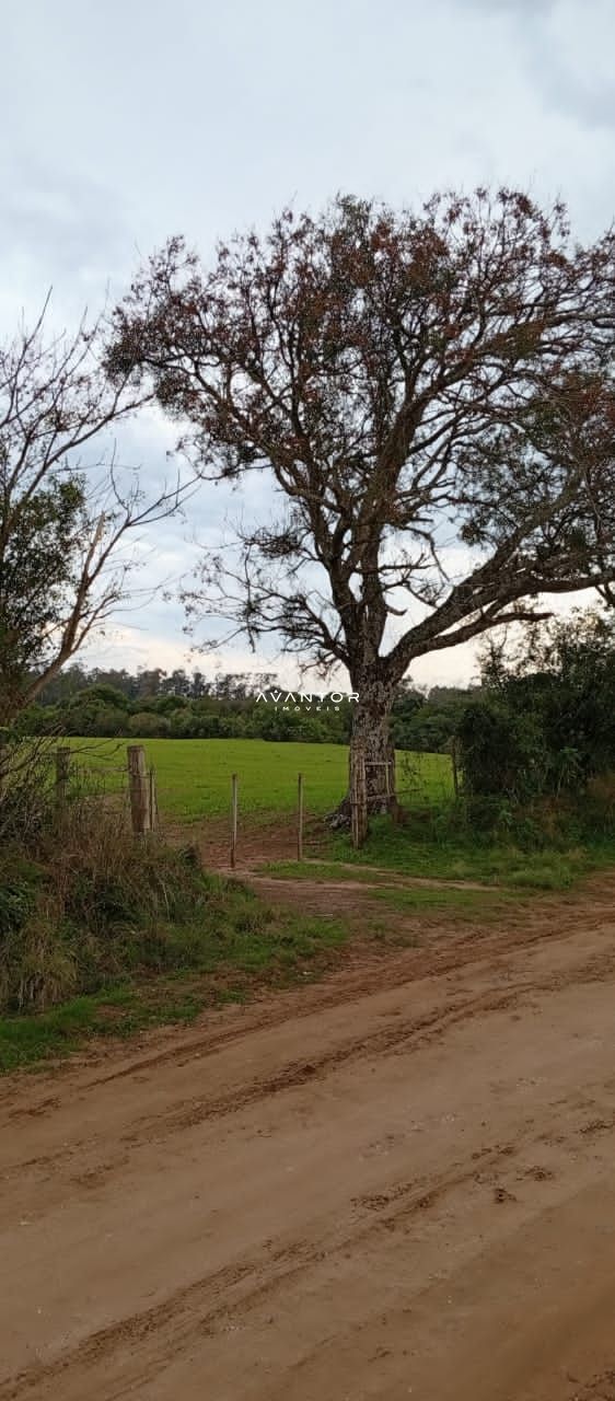 Campo à venda em Camobi, Santa Maria/RS — foto 10 de 10