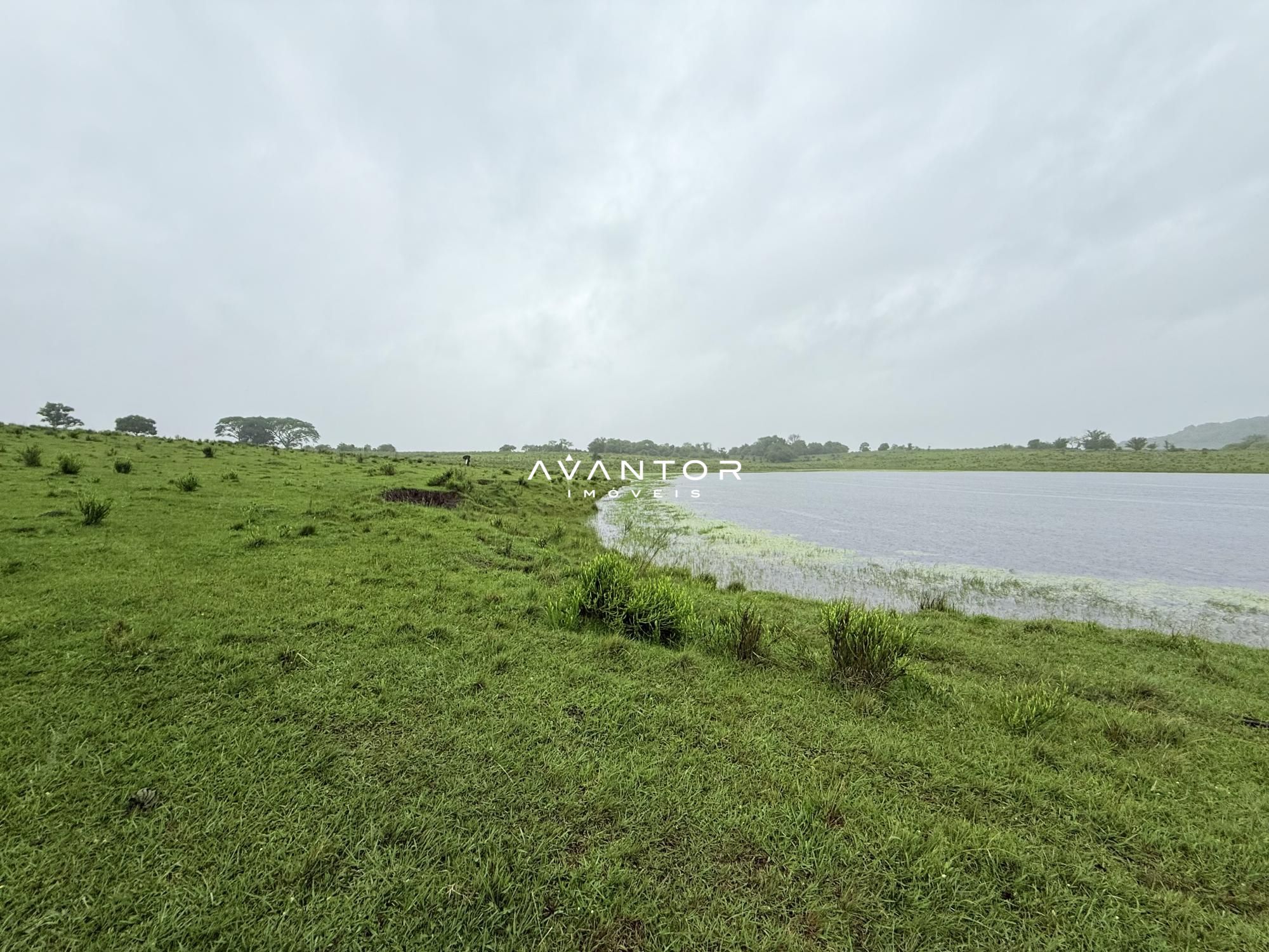 Campo à venda em Interior, Dilermando de Aguiar/RS — foto 5 de 14