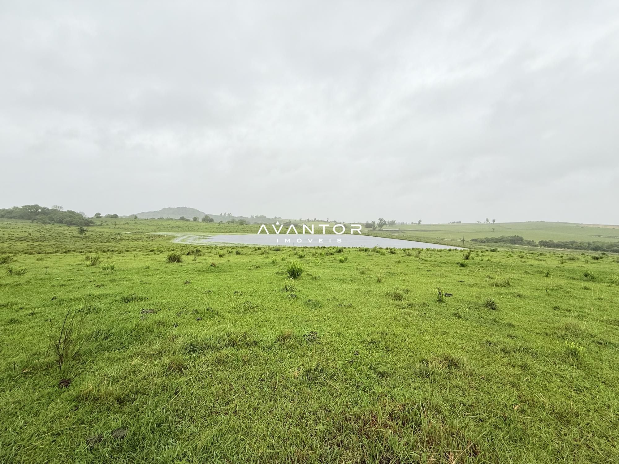 Campo à venda em Interior, Dilermando de Aguiar/RS — foto 12 de 14