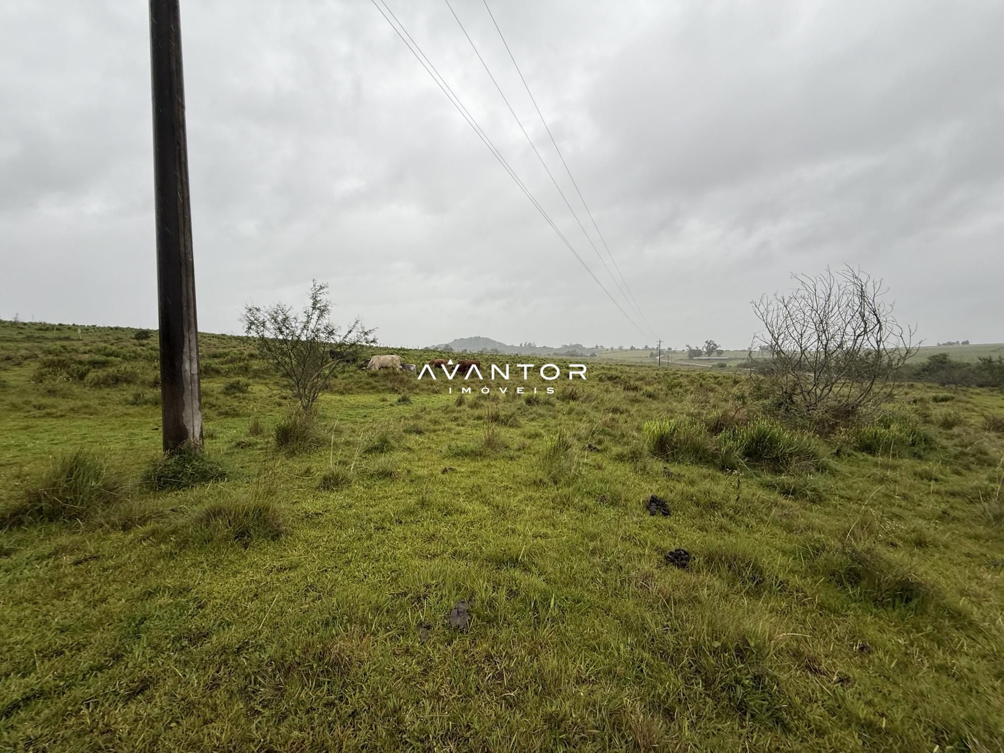 Campo à venda em Interior, Dilermando de Aguiar/RS — foto 13 de 14
