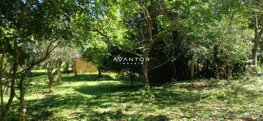 Chácara com 2 quartos à venda em Val de Buia, Silveira Martins/RS — foto 26 de 63