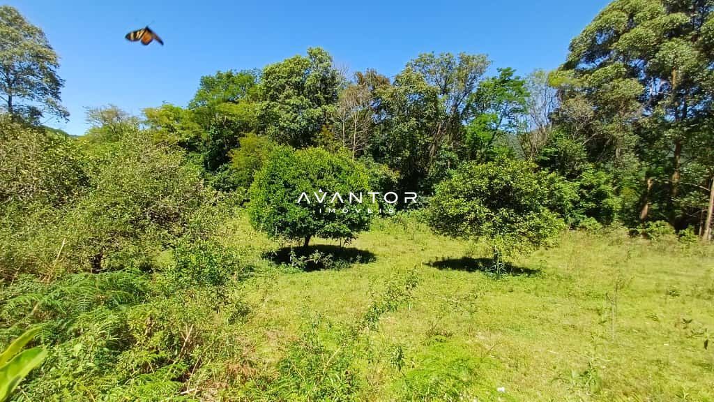 Chácara com 2 quartos à venda em Val de Buia, Silveira Martins/RS — foto 32 de 63