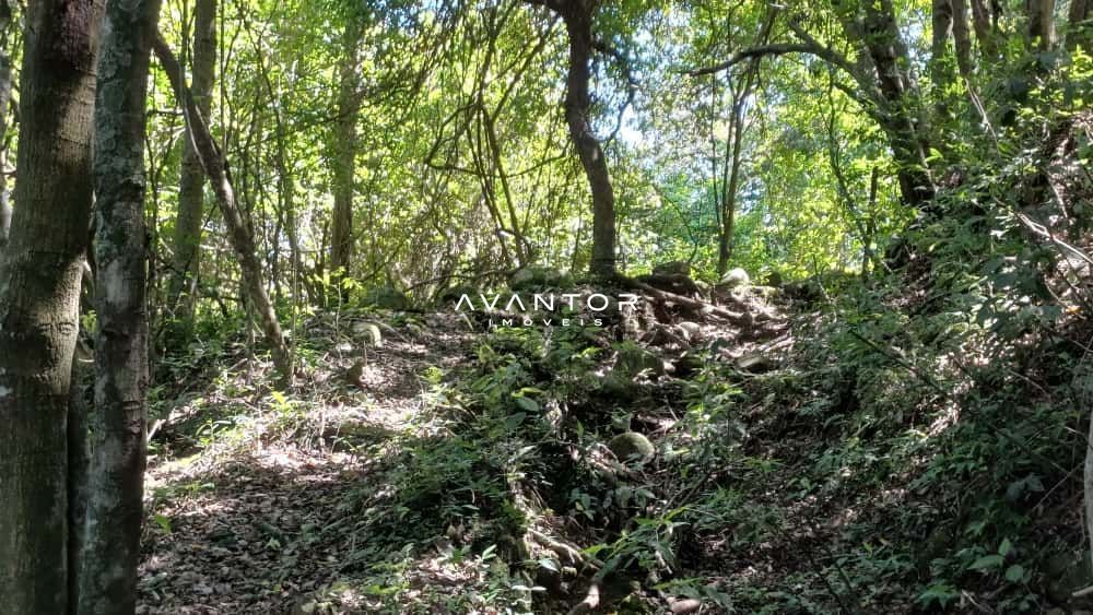 Chácara com 2 quartos à venda em Val de Buia, Silveira Martins/RS — foto 40 de 63