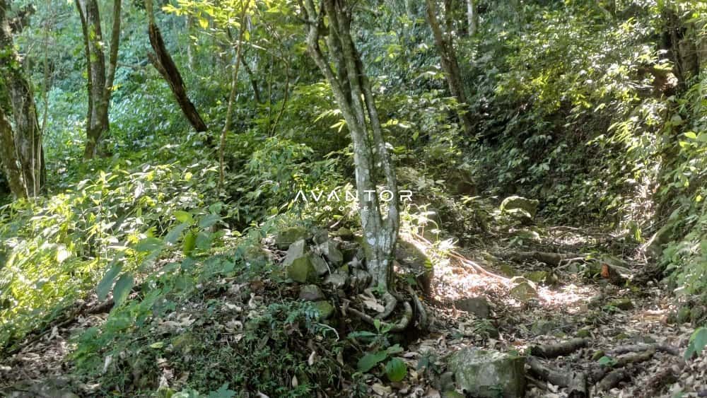Chácara com 2 quartos à venda em Val de Buia, Silveira Martins/RS — foto 43 de 63