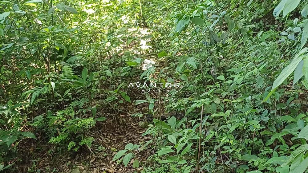 Chácara com 2 quartos à venda em Val de Buia, Silveira Martins/RS — foto 45 de 63