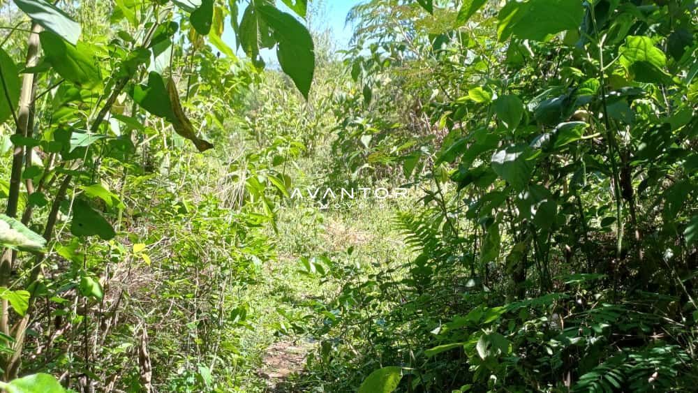 Chácara com 2 quartos à venda em Val de Buia, Silveira Martins/RS — foto 47 de 63