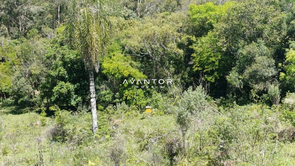 Chácara com 2 quartos à venda em Val de Buia, Silveira Martins/RS — foto 48 de 63