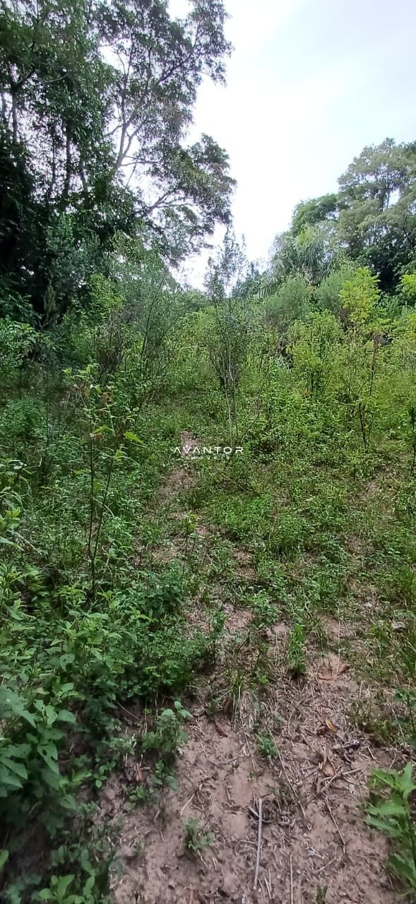 Chácara com 2 quartos à venda em Val de Buia, Silveira Martins/RS — foto 58 de 63