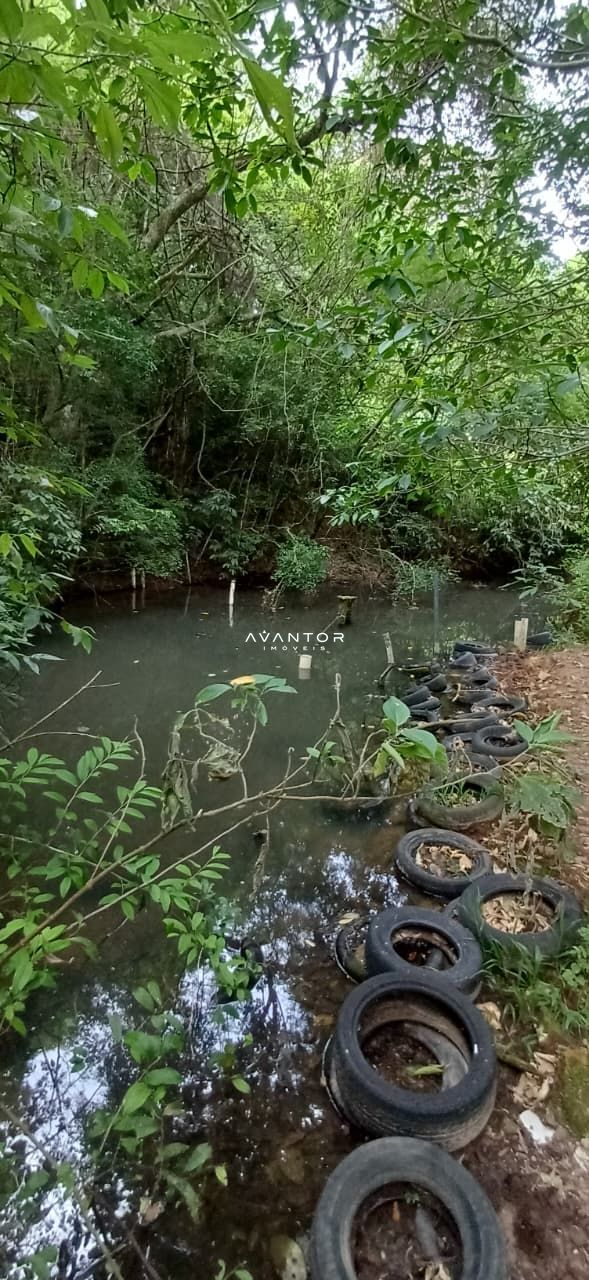 Chácara com 2 quartos à venda em Val de Buia, Silveira Martins/RS — foto 60 de 63