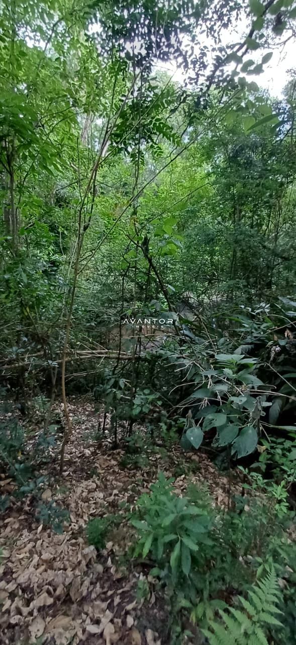 Chácara com 2 quartos à venda em Val de Buia, Silveira Martins/RS — foto 63 de 63