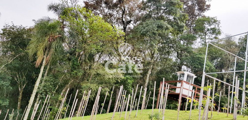 Terreno à venda no Residencial Real Park, em Tomazetti, Santa Maria/RS — foto 14 de 17