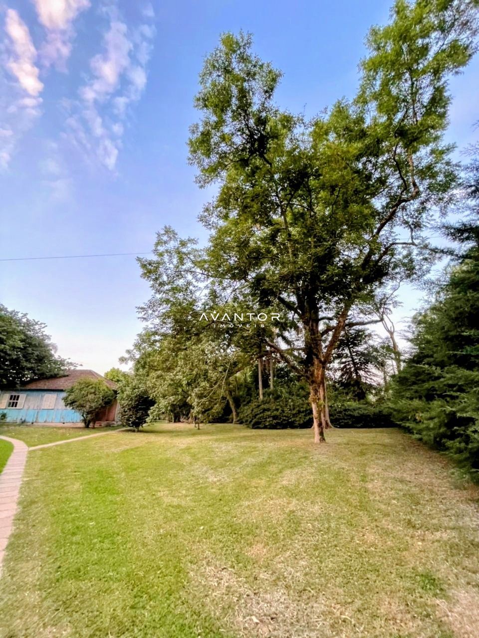 Chácara com 3 quartos à venda em Arroio Grande, Santa Maria/RS — foto 4 de 31