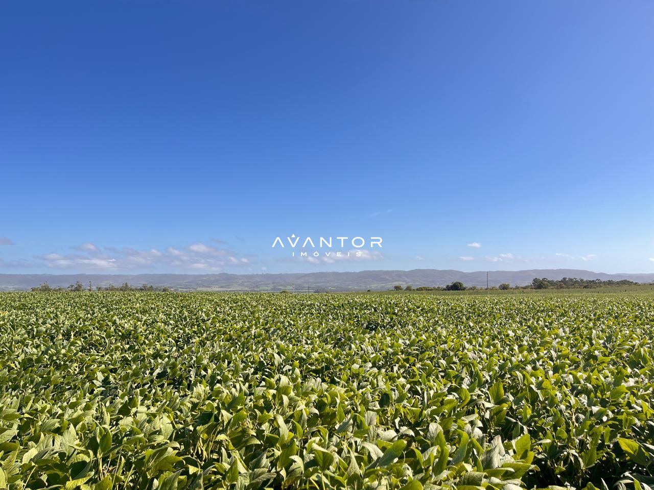 Campo à venda em Boca do Monte, Santa Maria/RS — foto 5 de 8