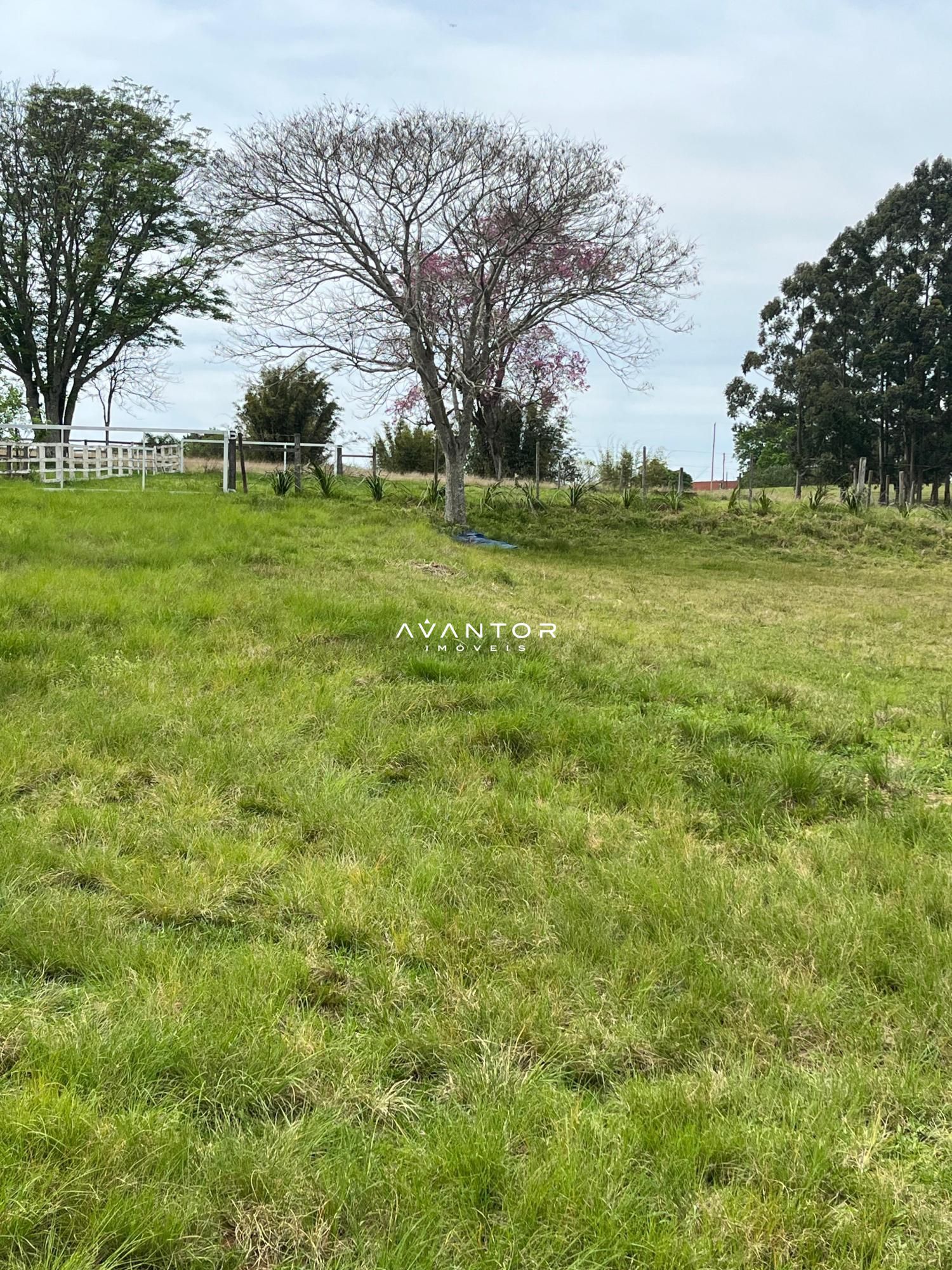 Chácara com 2 quartos à venda em Arroio do Só, Santa Maria/RS — foto 4 de 17