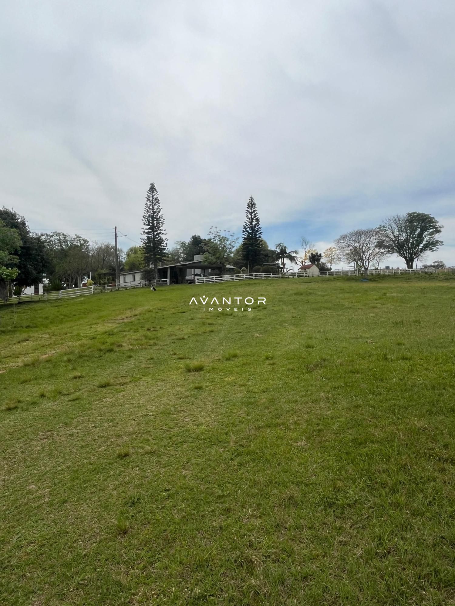 Chácara com 2 quartos à venda em Arroio do Só, Santa Maria/RS — foto 8 de 17