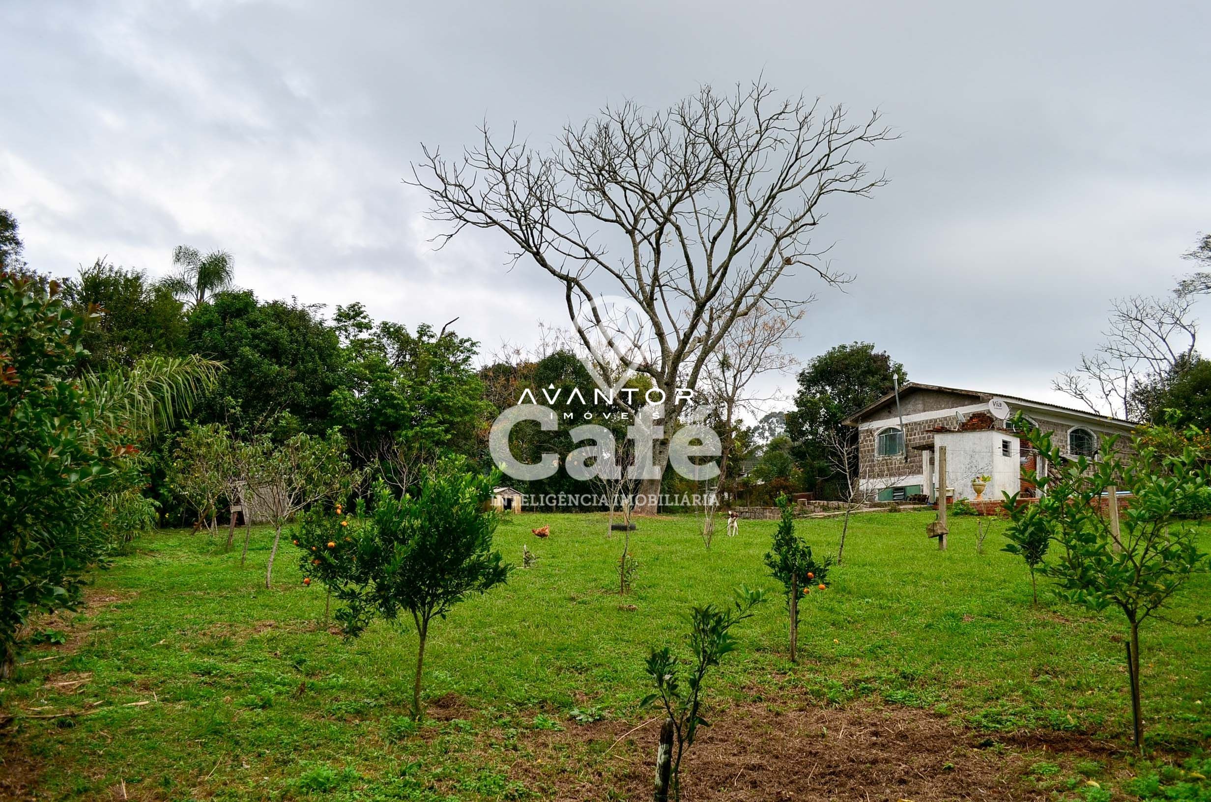 Casa com 3 quartos à venda em Novo Pinhal, Itaara/RS — foto 5 de 21