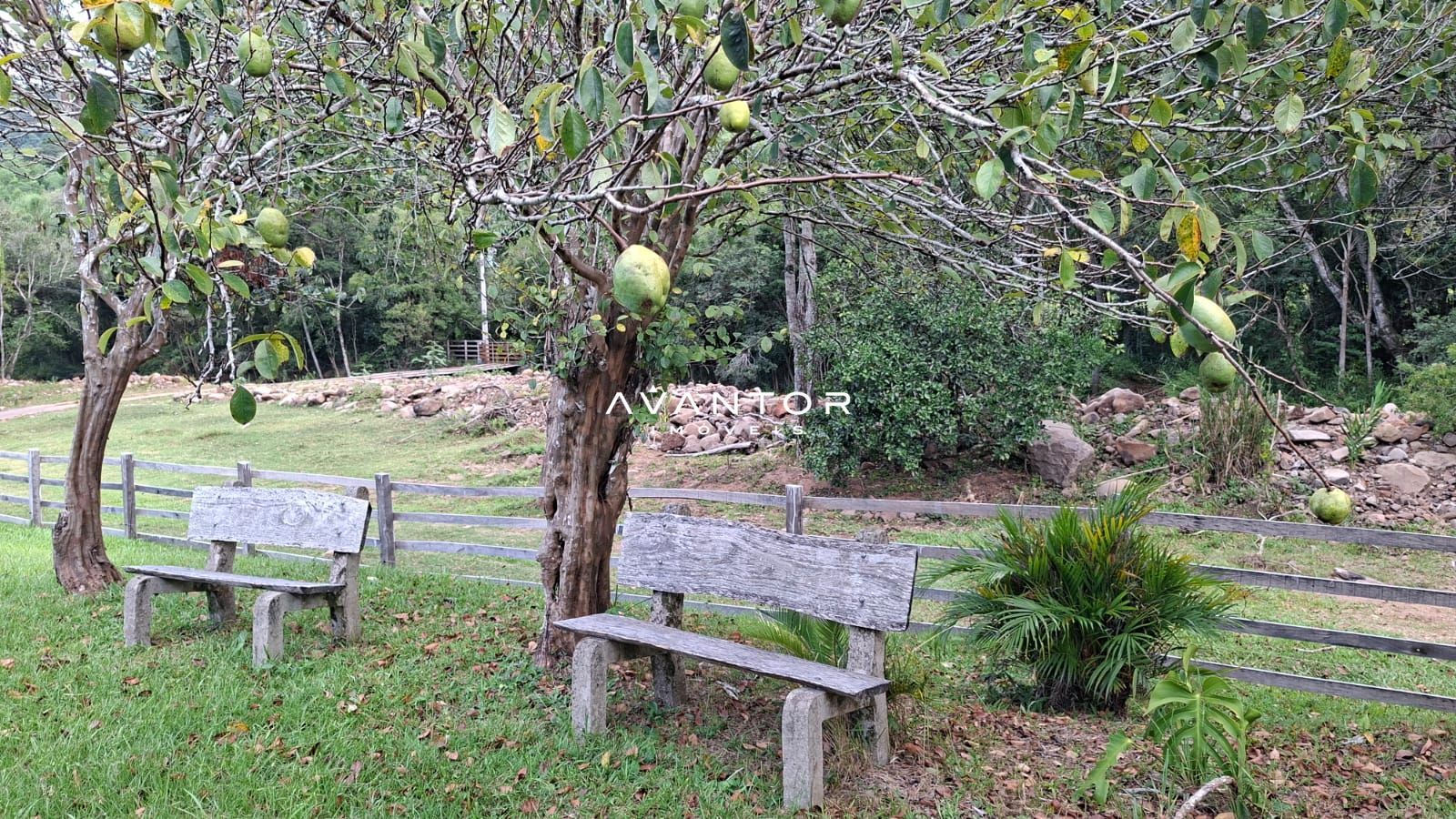 Chácara com 3 quartos à venda em Rincão dos Minelo, Itaara/RS — foto 8 de 25