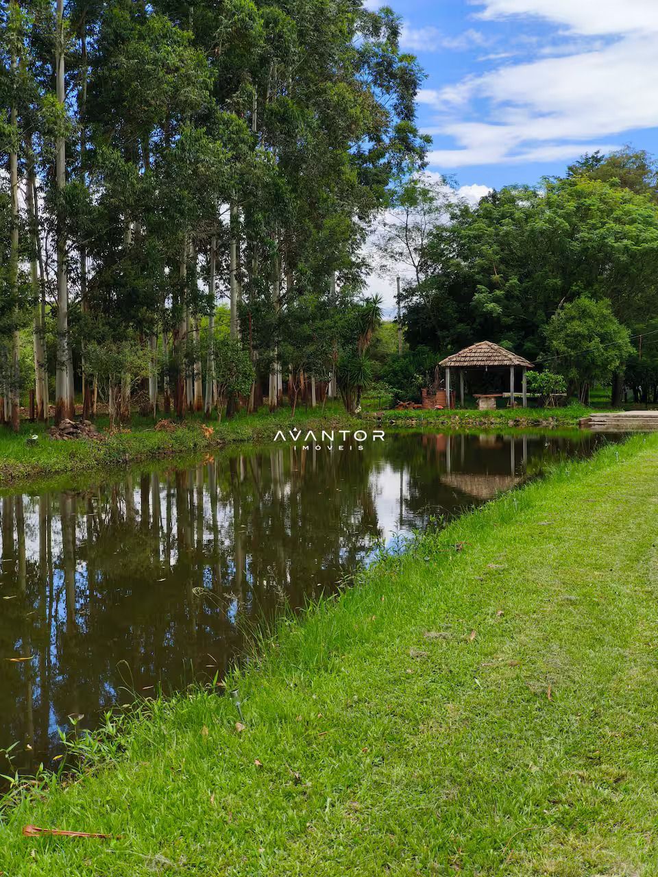 Chácara com 3 quartos à venda em Zona rural, São Martinho da Serra/RS — foto 6 de 26