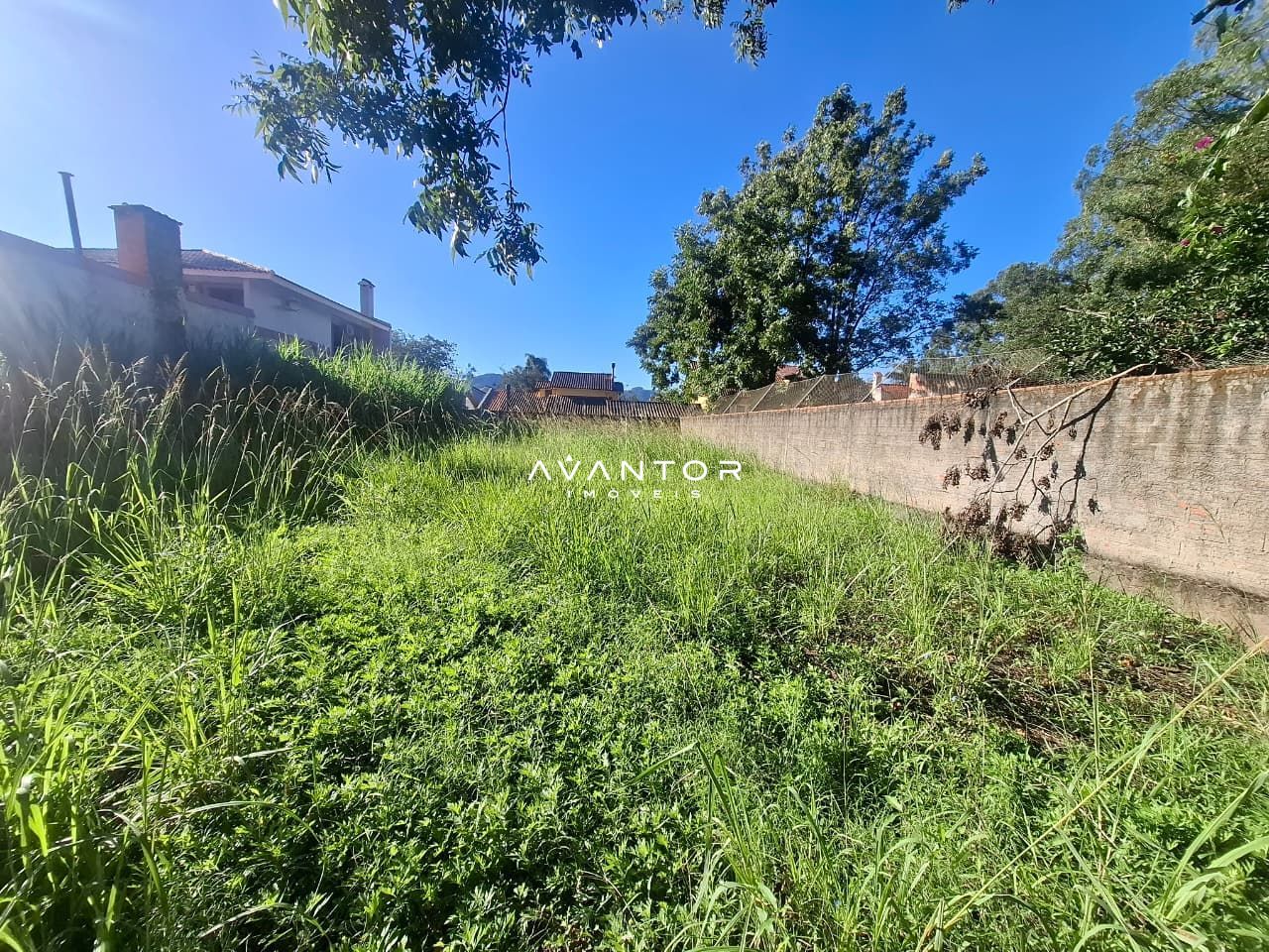 Terreno à venda em Pé de Plátano, Santa Maria/RS — foto 4 de 4