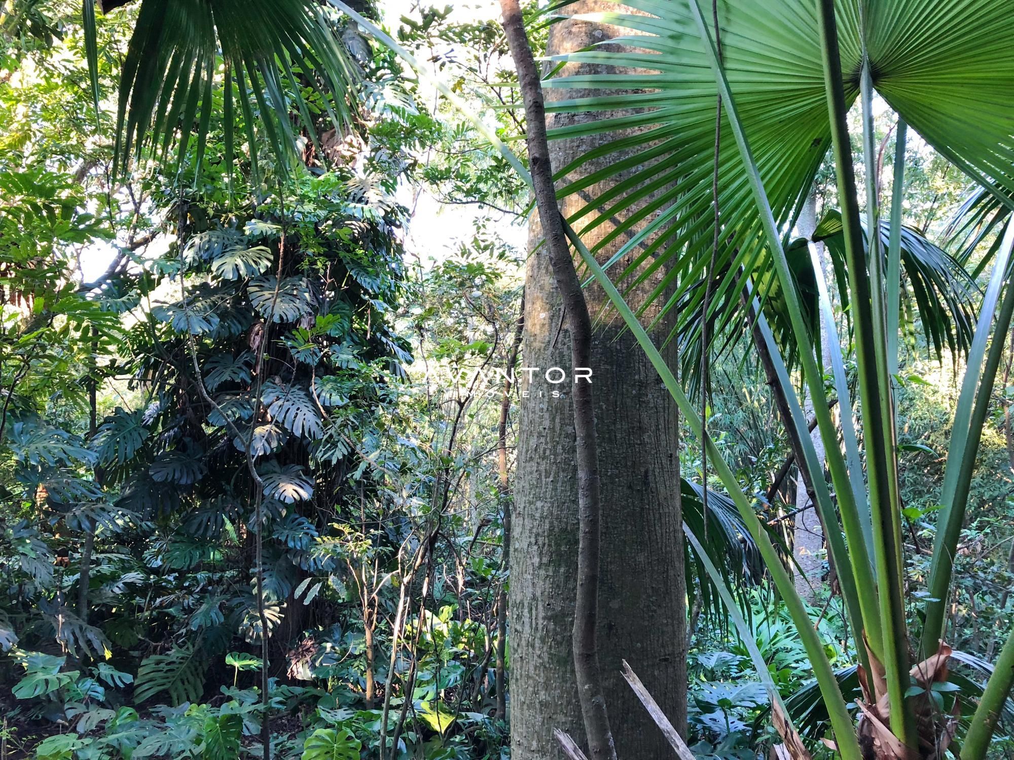 Apartamento com 3 quartos à venda no Residencial Omni Ski, em Nossa Senhora Medianeira, Santa Maria/RS — foto 9 de 31