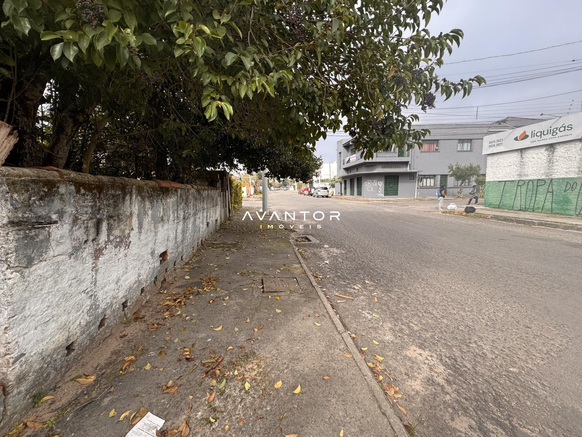 Terreno à venda em Nossa Senhora do Rosário, Santa Maria/RS — foto 4 de 4