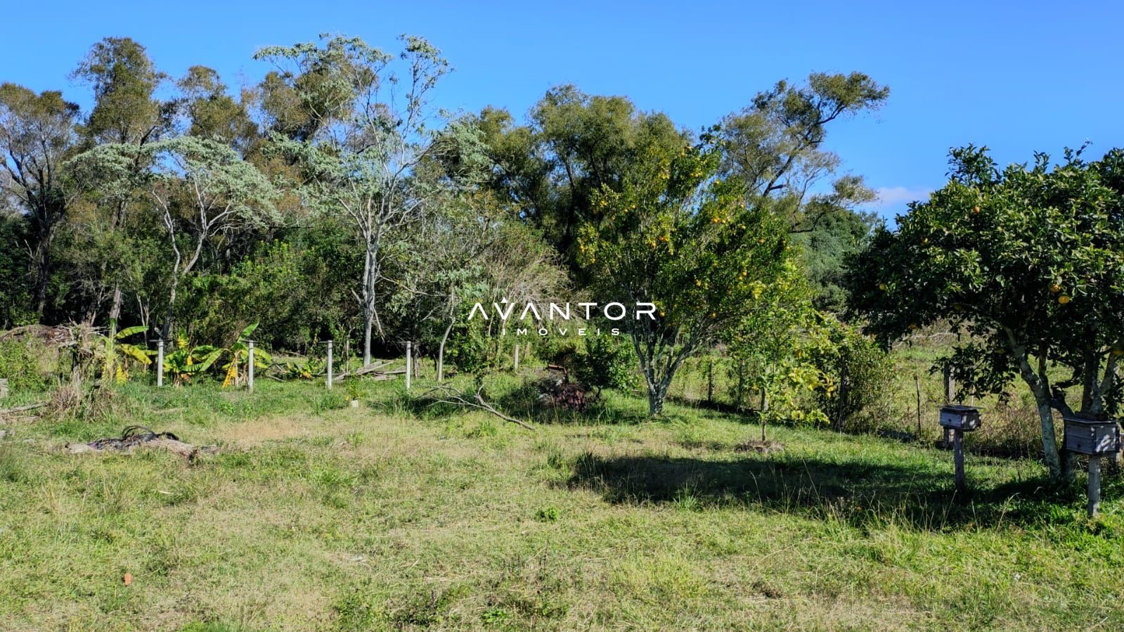 Casa com 2 quartos à venda em Boca do Monte, Santa Maria/RS — foto 3 de 4
